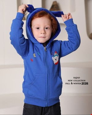 سویشرت تک پسرانه طرح bear